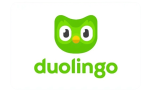 Duolingo English Test preparation
